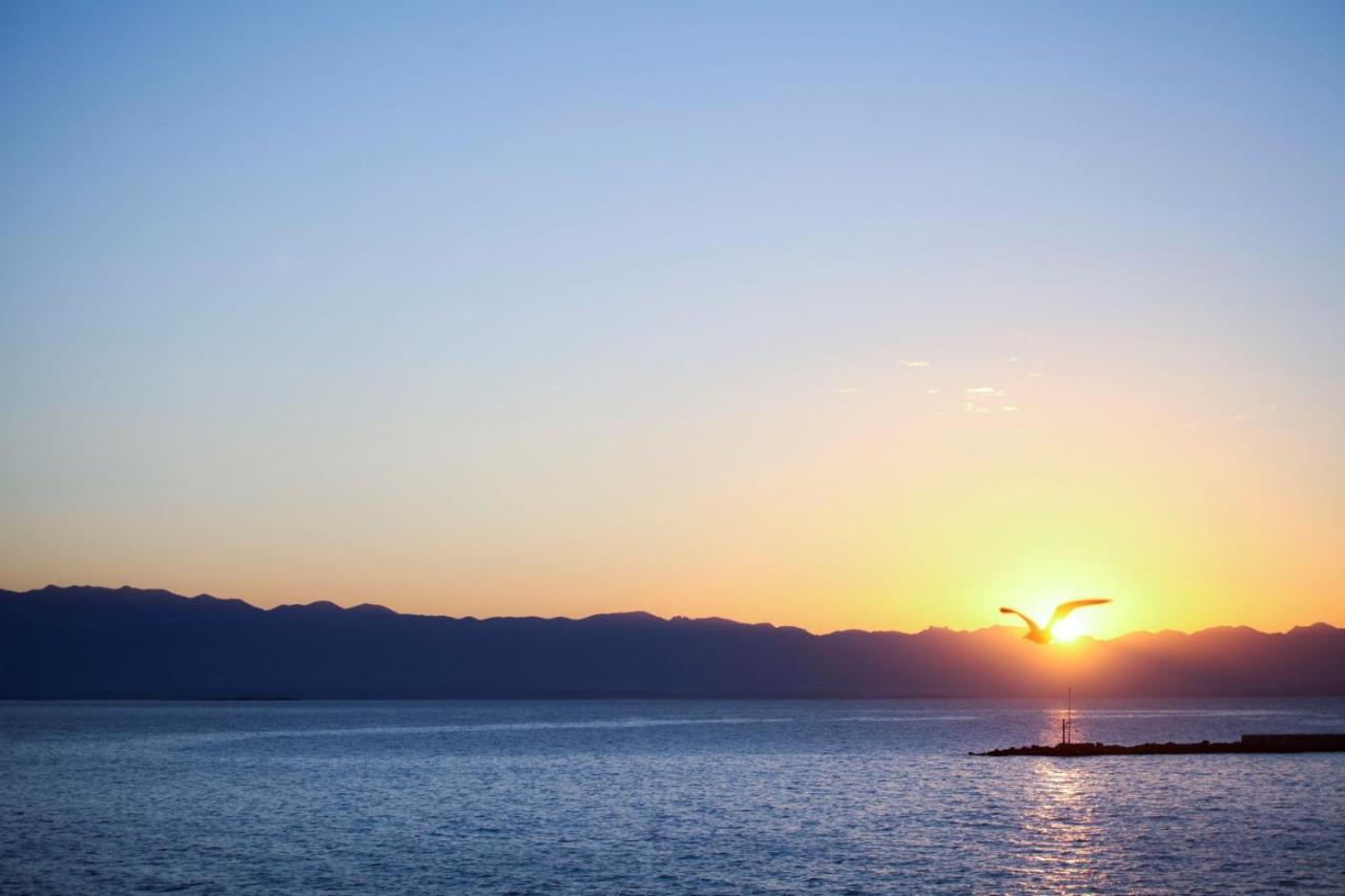 Apartments Villa Adrienne Mali Lošinj Εξωτερικό φωτογραφία