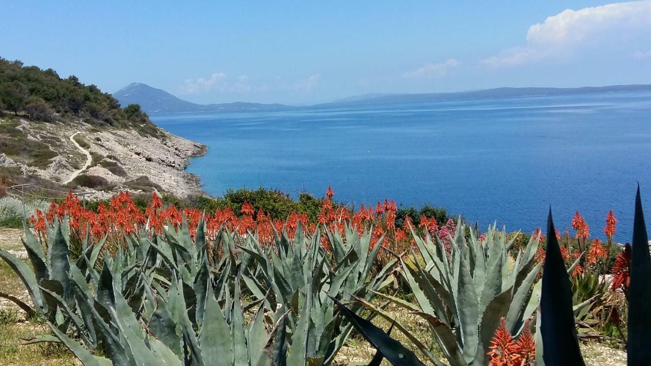 Apartments Villa Adrienne Mali Lošinj Εξωτερικό φωτογραφία